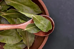 Bay leaves on a spoon