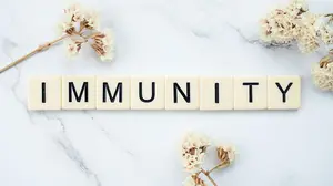Immune system health explained simply—sleep, gut health, movement, sunlight, and natural support for long-term resilience.