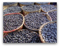 benefits of acai