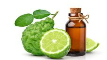 bergamot essential oil