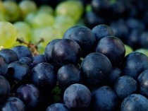 blackgrapes blackgrapes