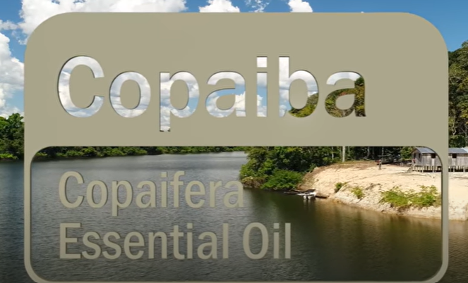 copaiba essential oil label