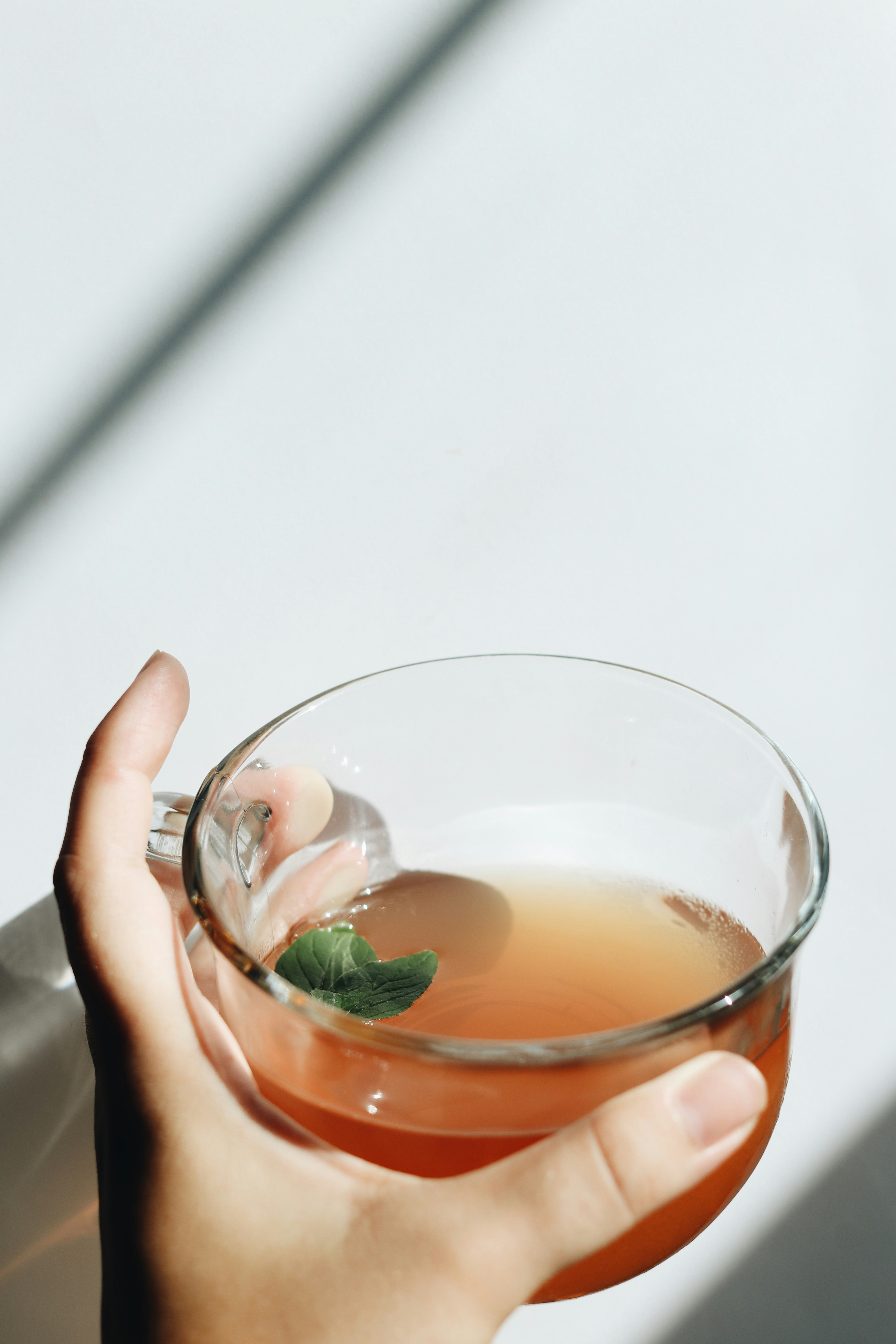 drinking cup of herbal tea