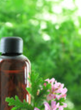 geranium essential oil