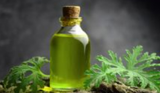 geranium oil