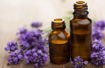 lavender essential oil