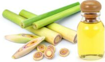 lemongrass essential oil