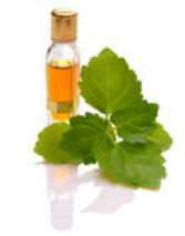 patchouli essential oil