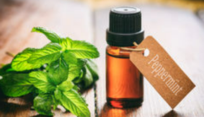 peppermint leaves with oil