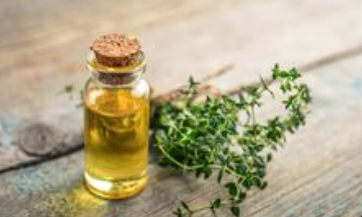 thyme essential  oil
