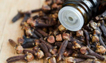 clove essential oil