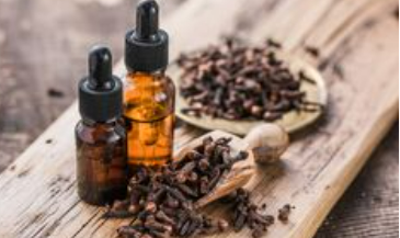 cloves essential oil