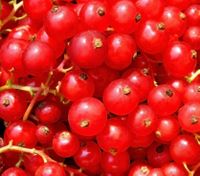 cranberries health benefits