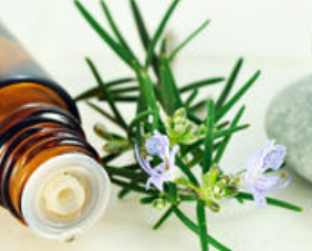 rosemary essential oil