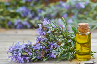 rosemary essential oil