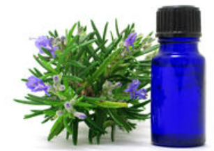 rosemary oil