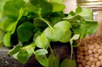 watercress