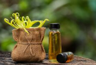 ylang ylang essential oil